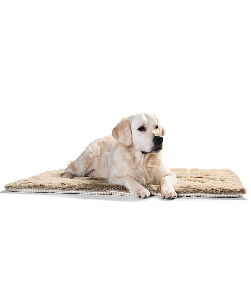 Down dog outlet blanket