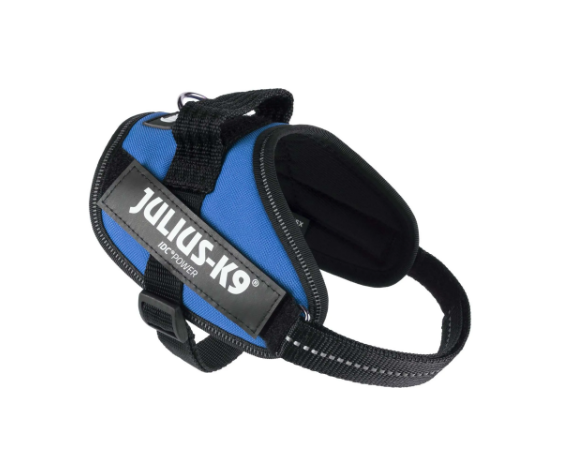 Sizing for clearance julius k9 harness