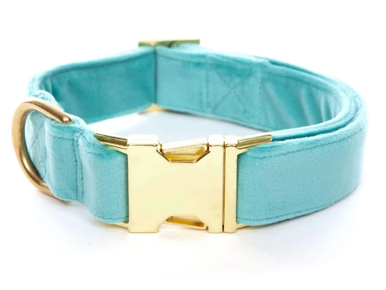 Dog Collar - Robin's Egg Blue Velvet