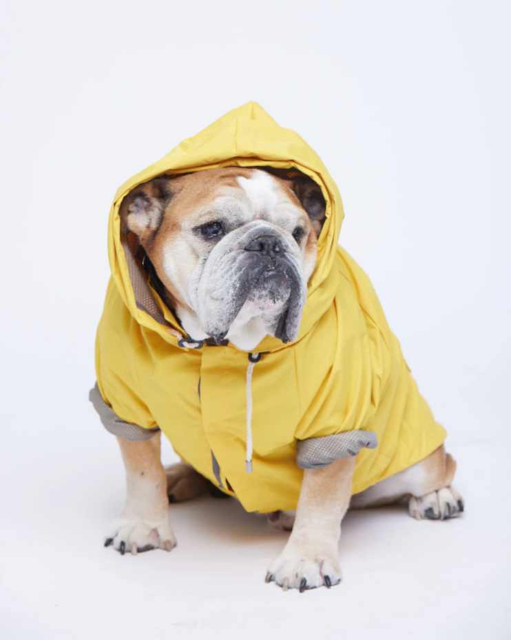 Talon raincoat sale